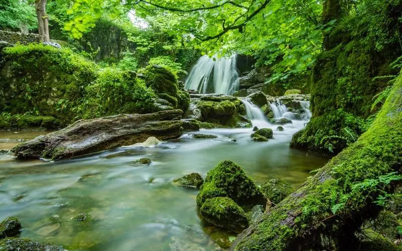 高质量独特高性能